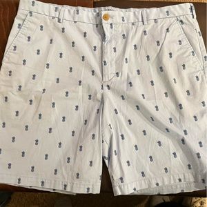 Izod Saltwater Mens Shorts Sz 40W Blue Pineapple print